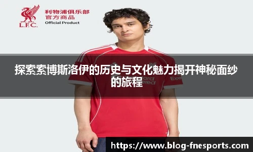 探索索博斯洛伊的历史与文化魅力揭开神秘面纱的旅程